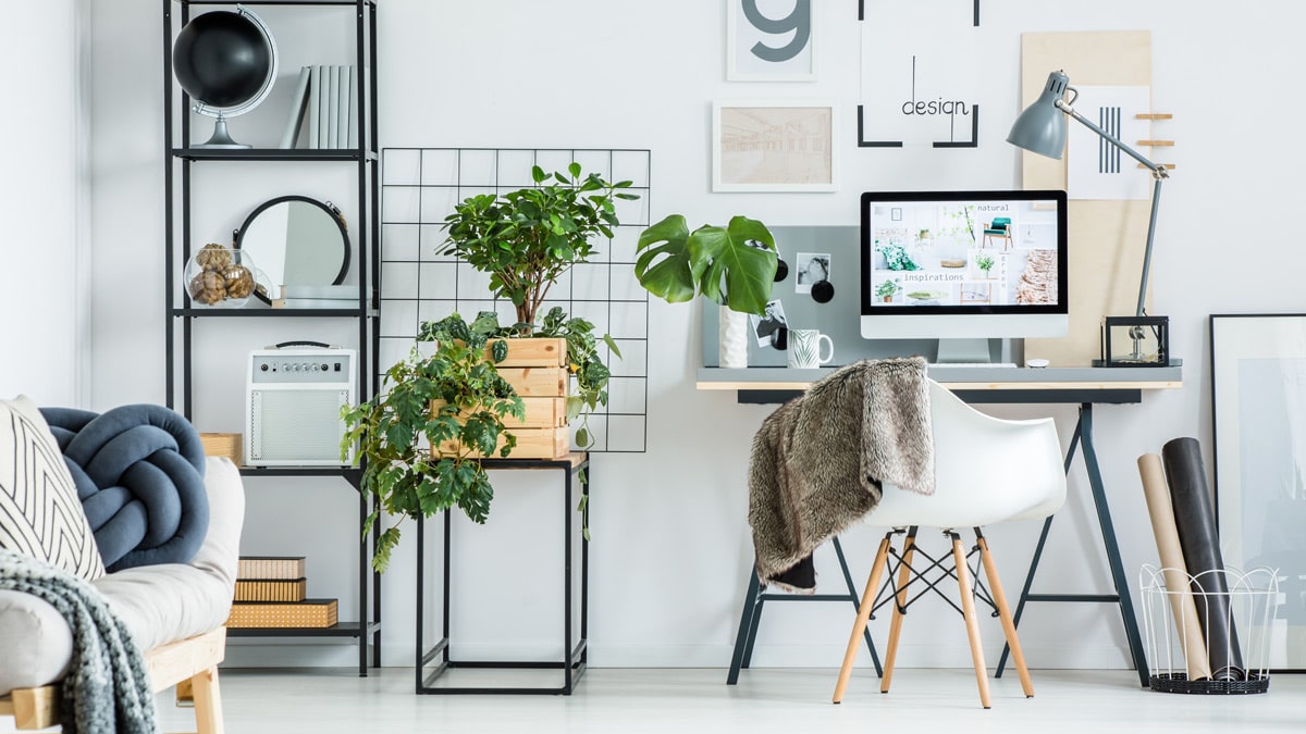 simple-home-office-with-tree-PBXRXYB-1010 (1)-min